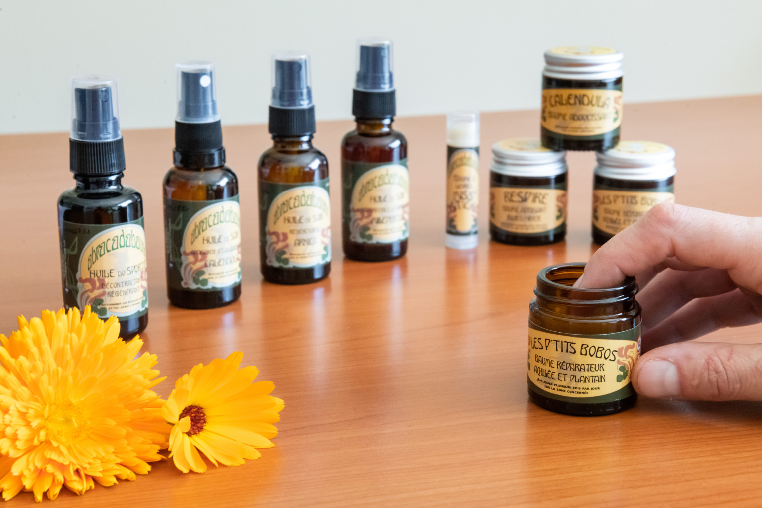 Arnica PNR BV