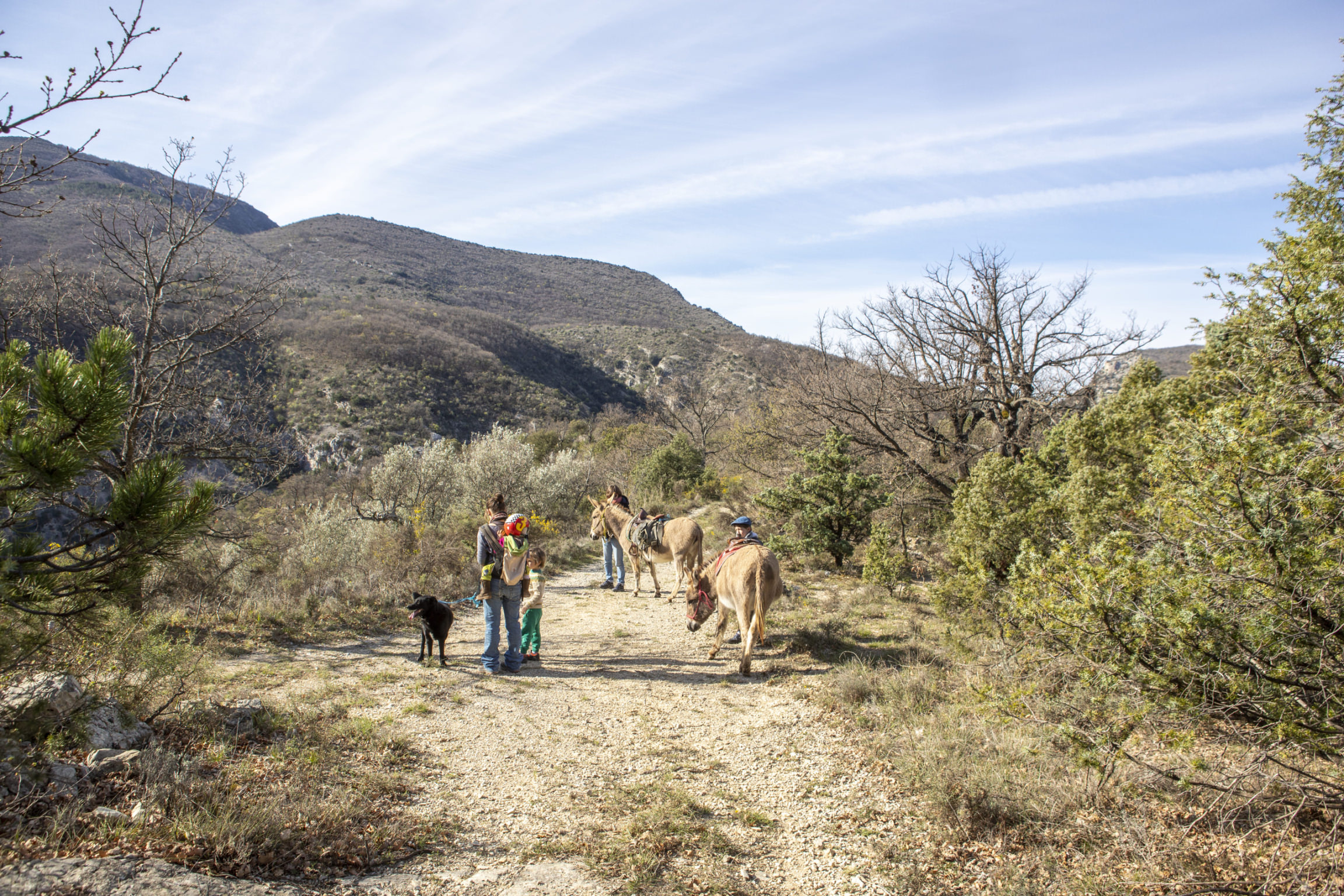 Balade Baronnies provençales