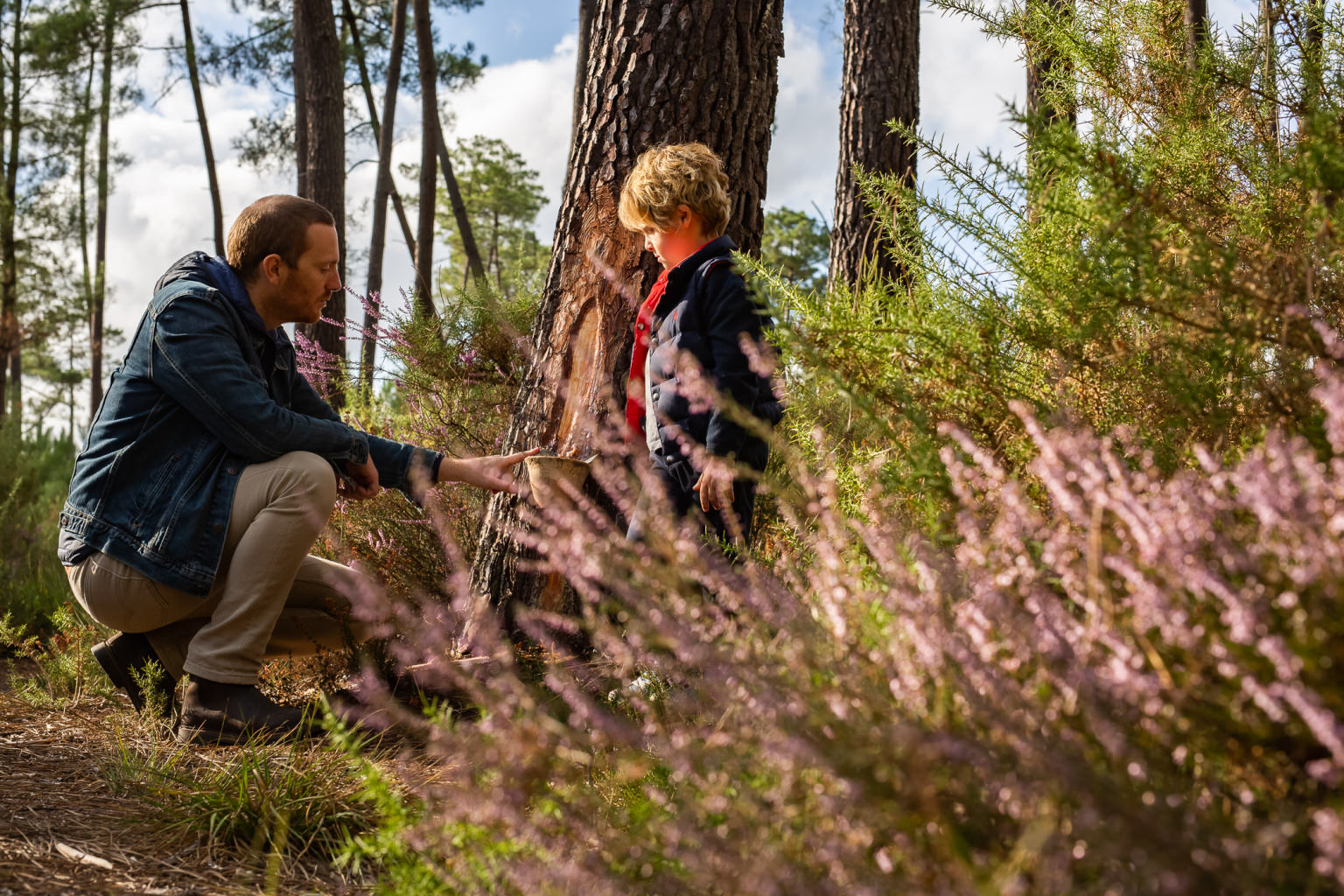 Animations Landes de Gascogne