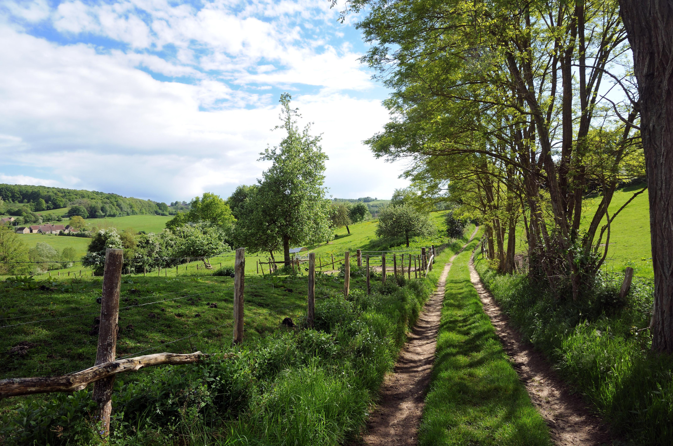Chemin du Perche