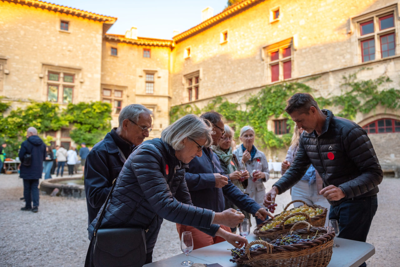 Saveurs Thezan Ventoux