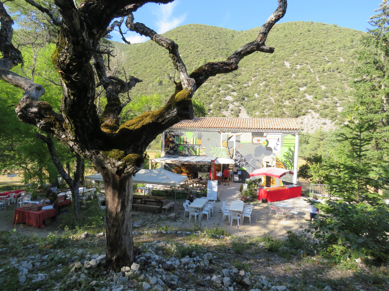 Jardin Singulier