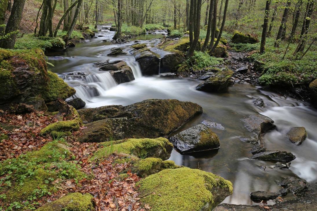 Vallée de la hulle