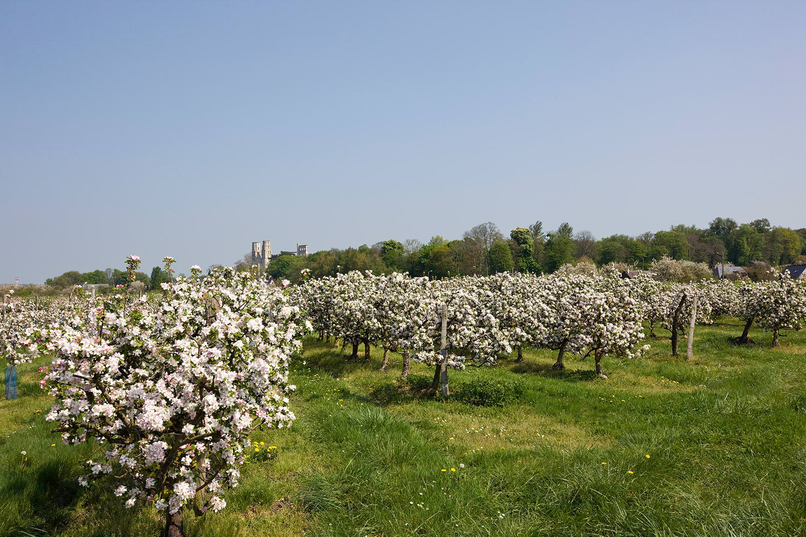 Route des fruits