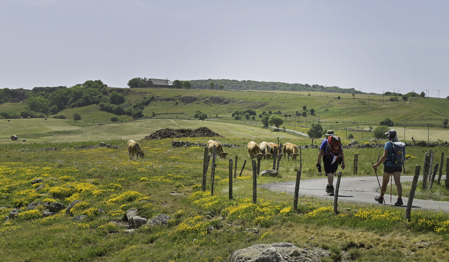 Randonneur Chemin de Saint Jacques de Compostelle