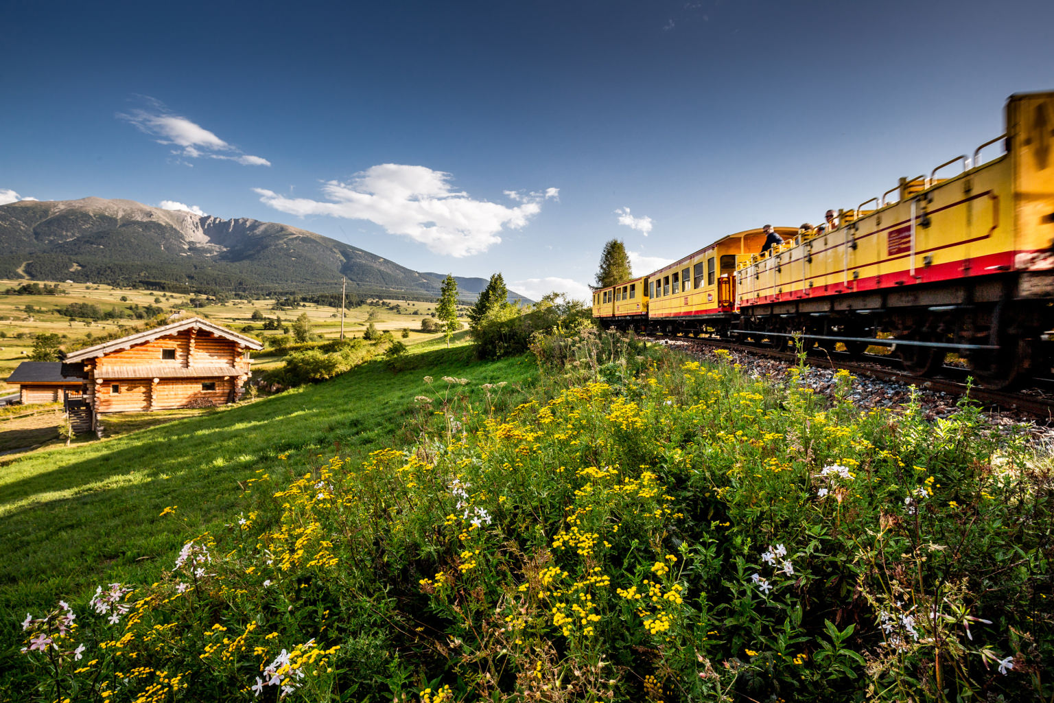 Train Jaune en été