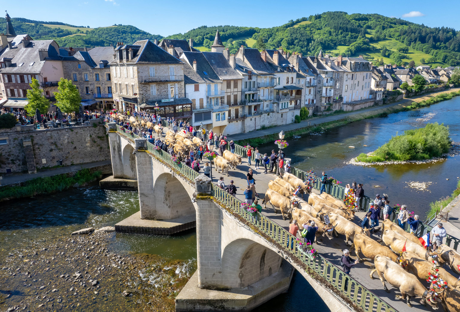 Transhumance Saint Geniez