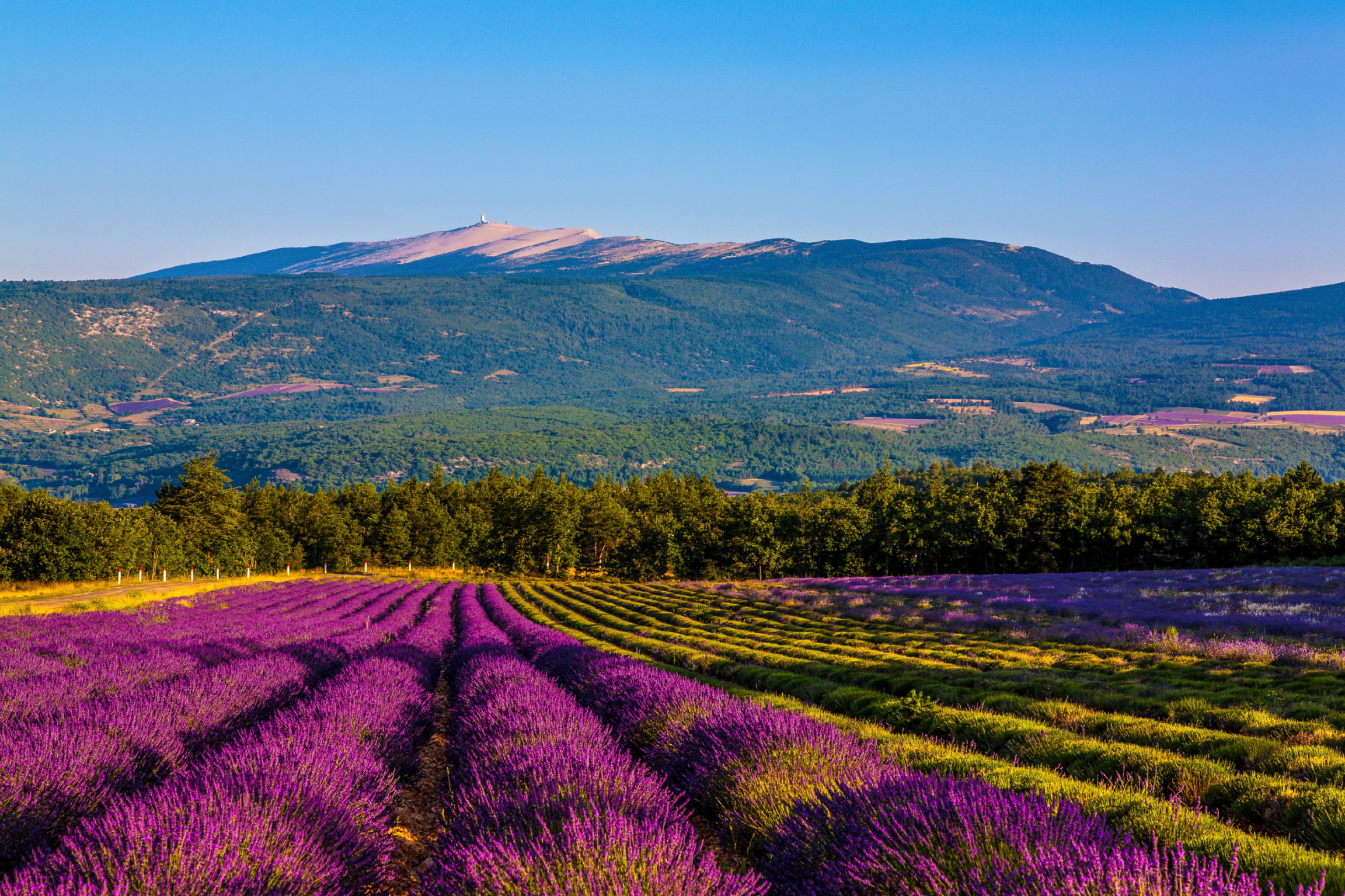 Le Mont Ventoux , le Geant de Provence de Lagarde d'Apt, Vaucluse, France