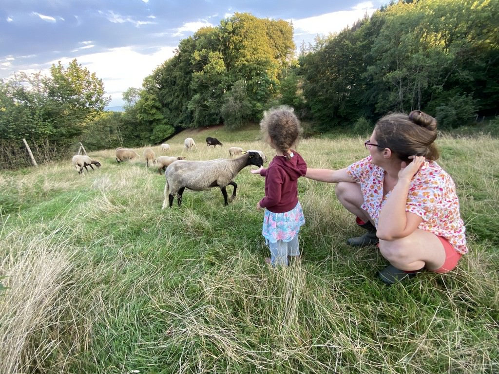 Visite ferme Morvan