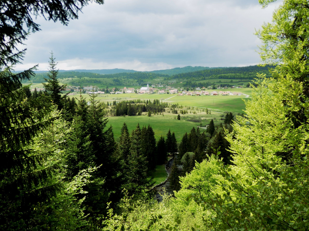 Paysage Haut-Jura