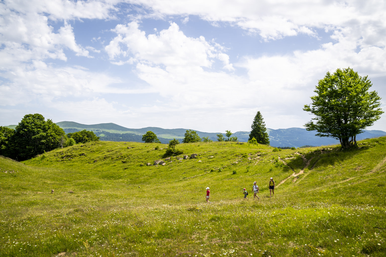 Balade Haut-Jura