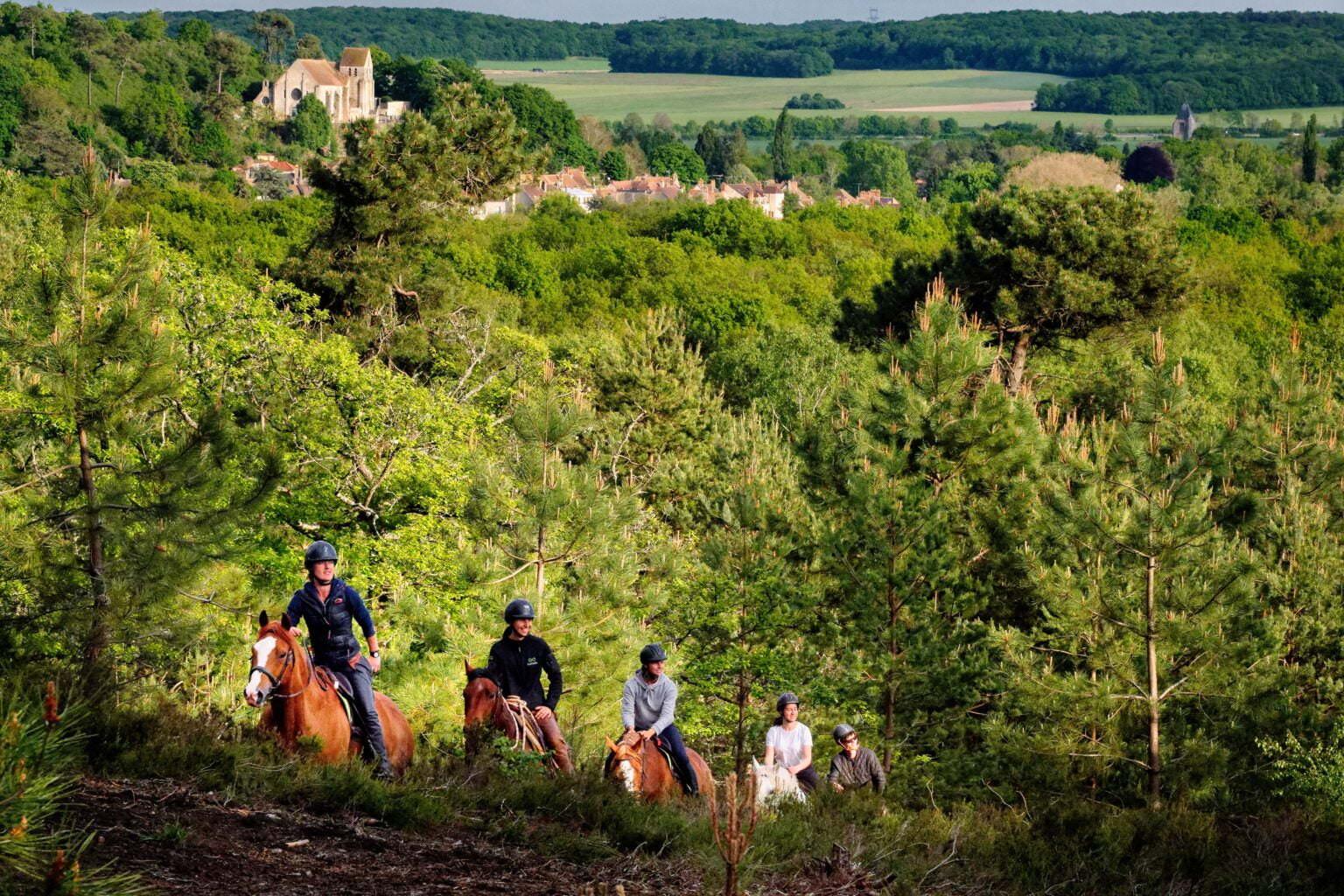 © PNR HVC Balade Haras de la Cense