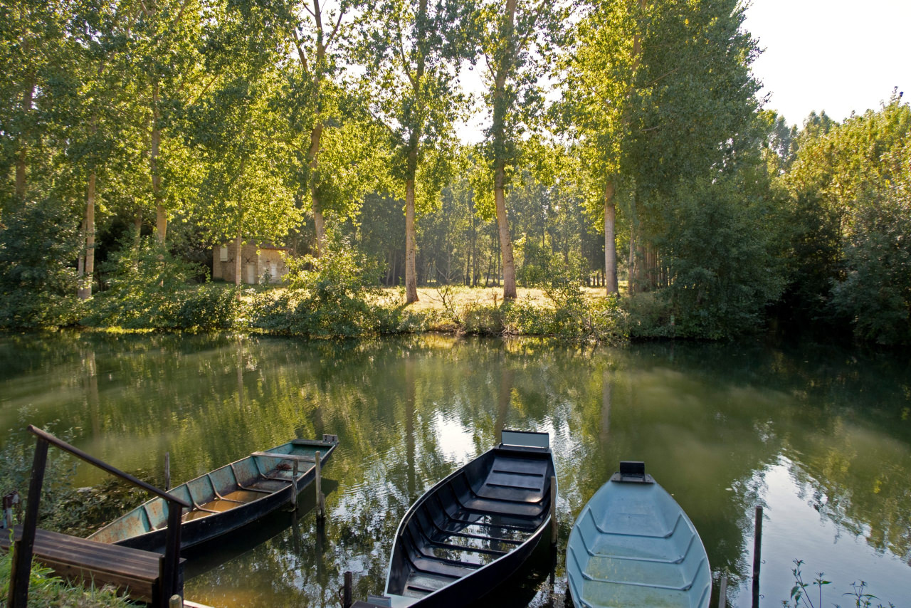 Barque marais poitevin