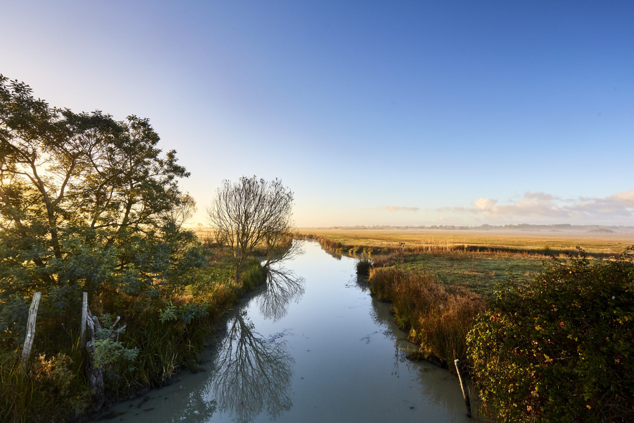 Marais desseches