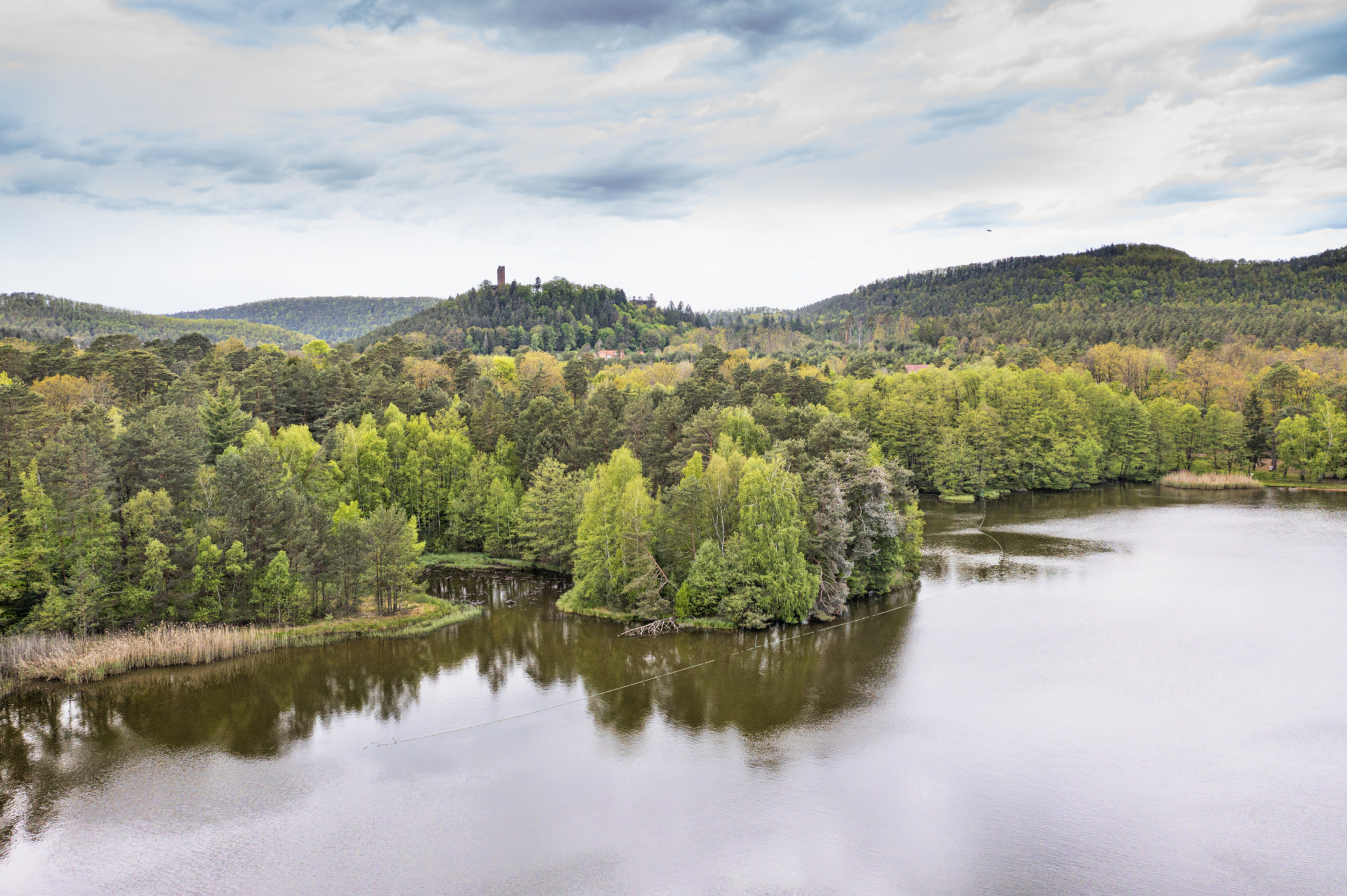 Parc Naturel R gional Des Vosges Du Nord Un Oc an De For t parc-naturel-r-gional-des-vosges-du-nord-un-oc-an-de-for-t