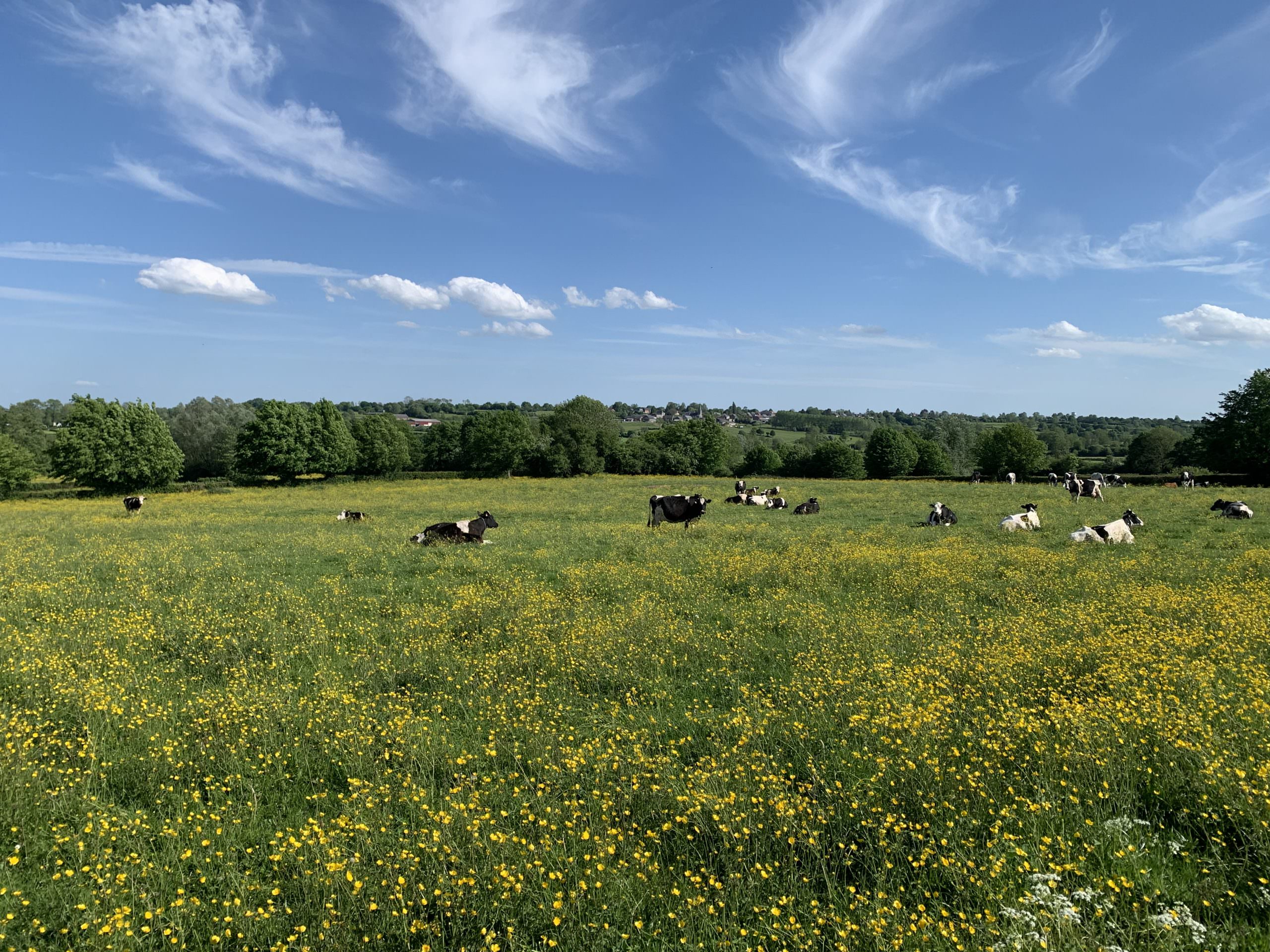 Header fiche parc avesnois