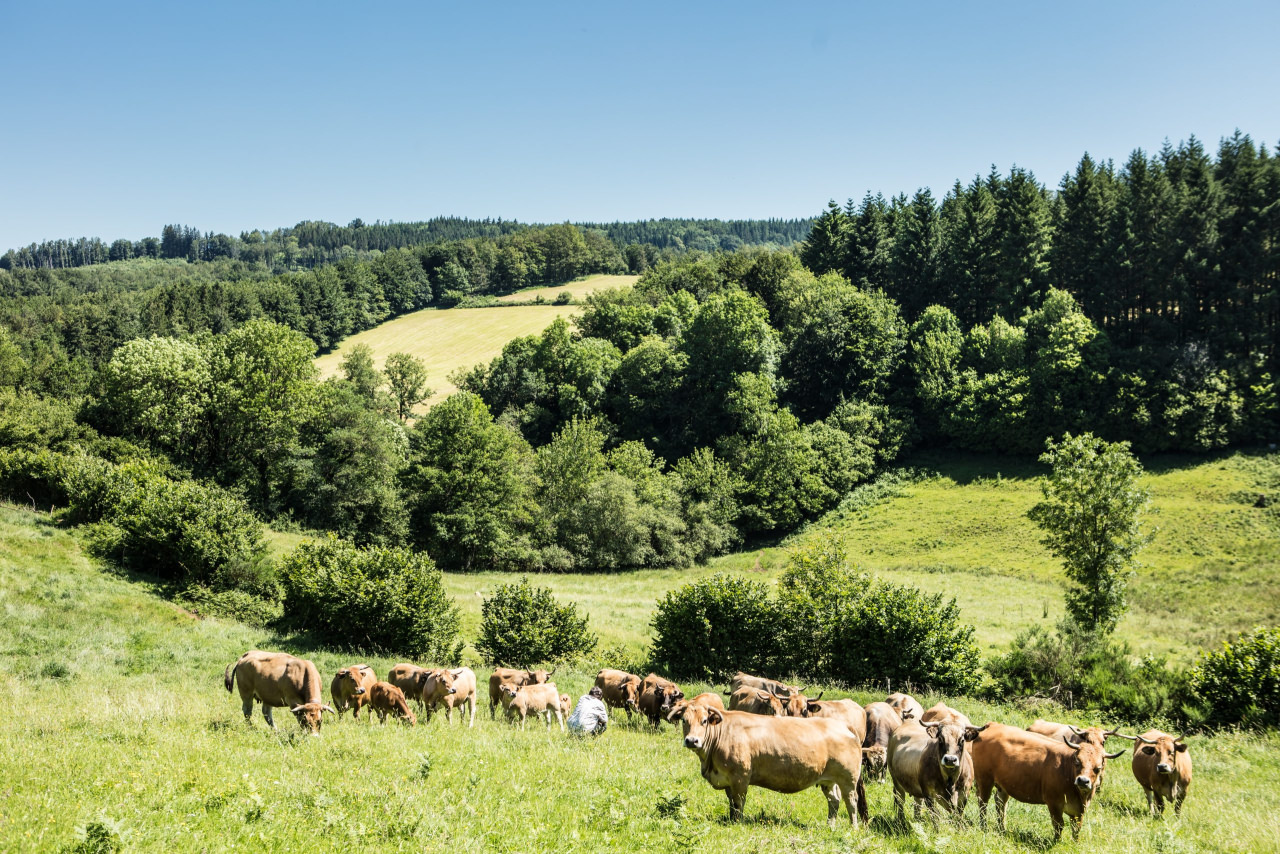 Ferme de la Grange