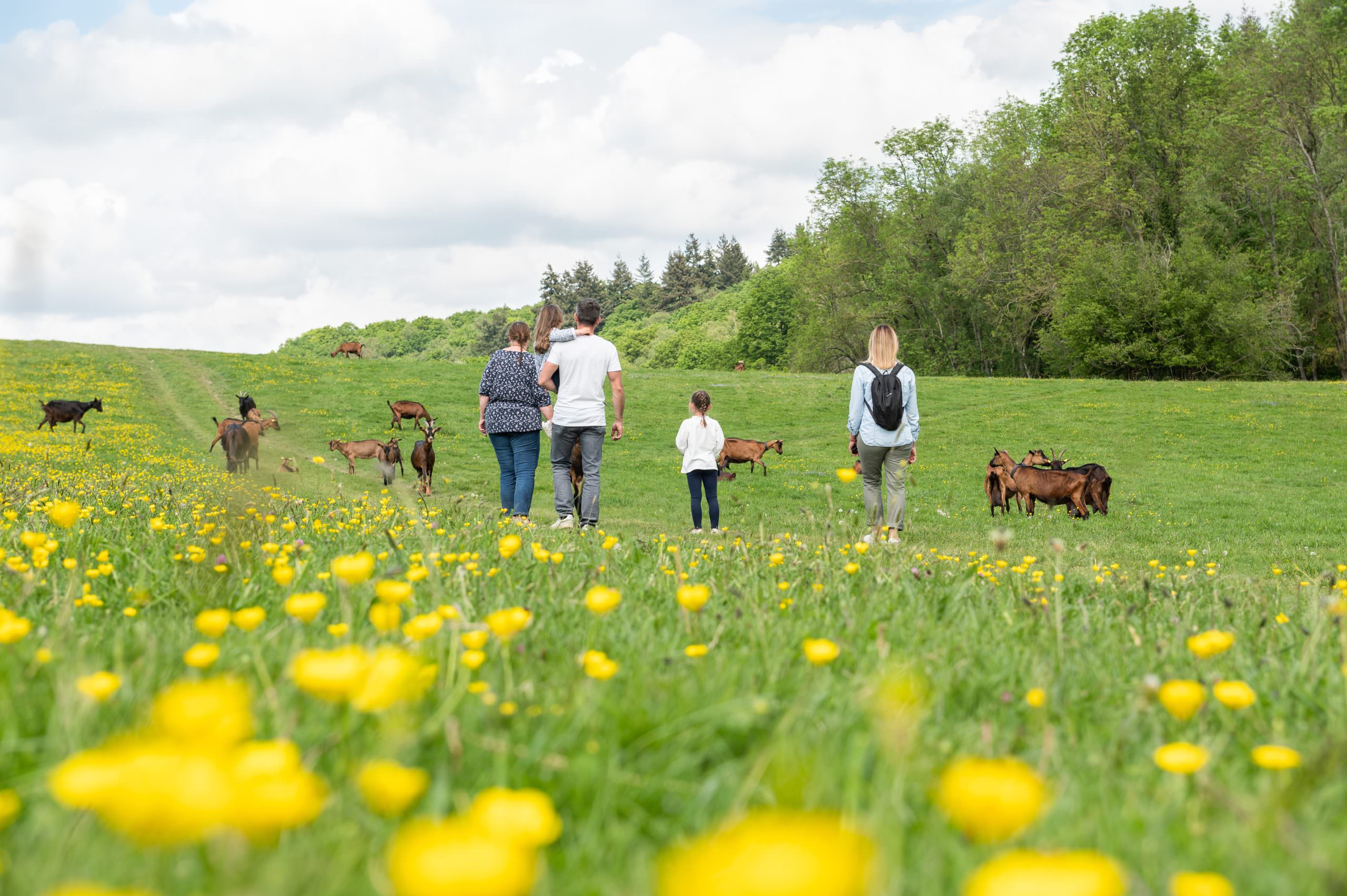 Ferme de la Noue au printemps