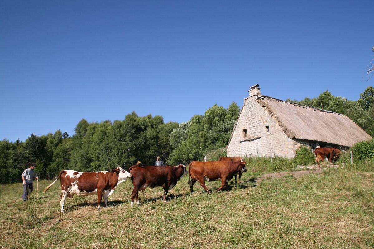 © La Ferme des Supeyres Ferme des supeyres PNR LF