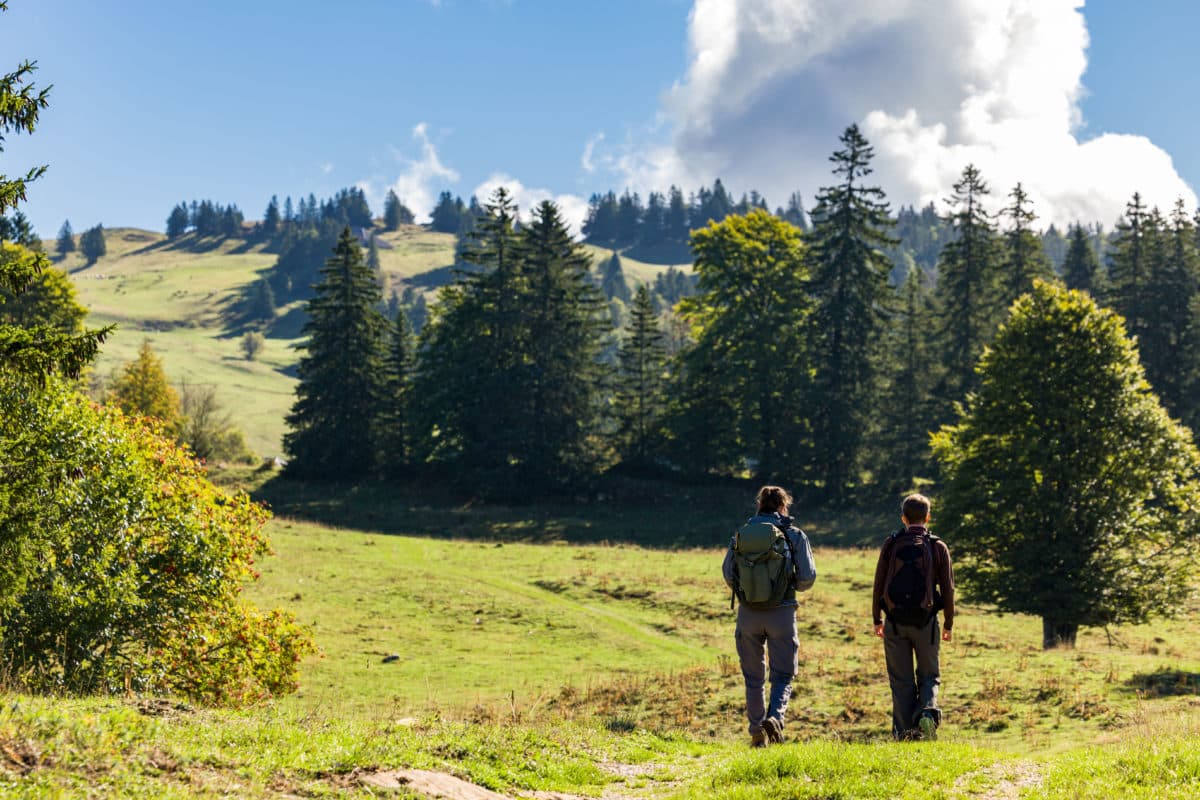 Alpage de la Pillarde, réserve de la haute chaine du jura