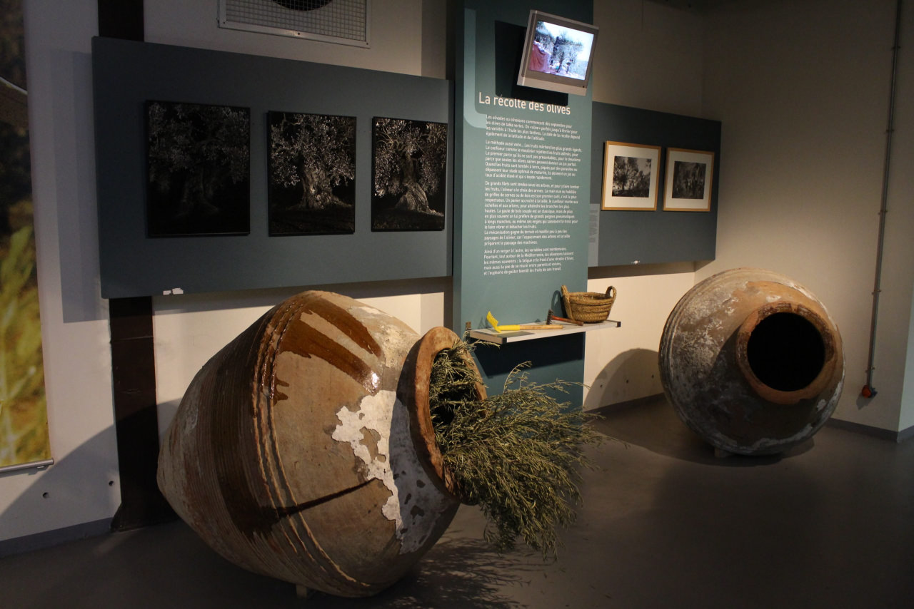 Eco Musée Luberon