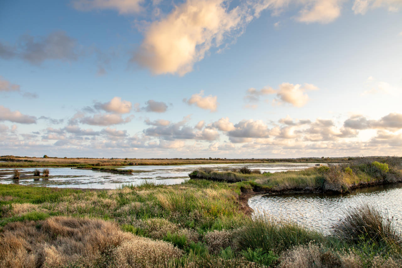 © Emilie Boudoin Marais pointe Medoc