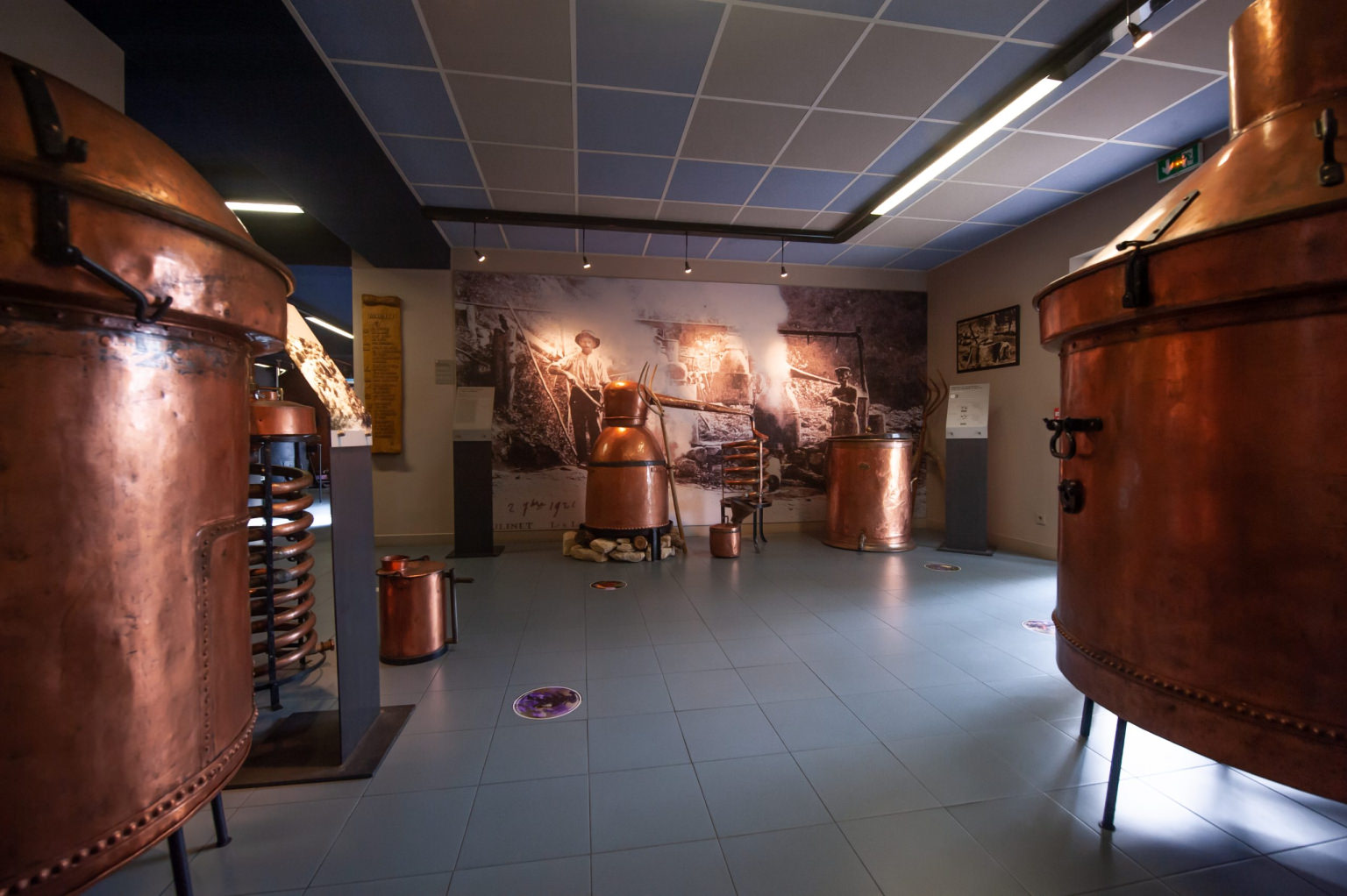 Musée lavande