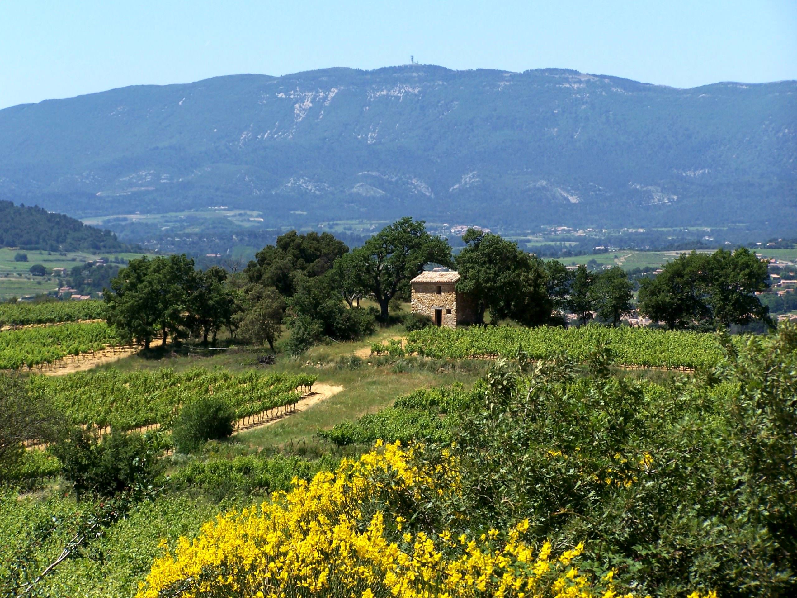 Paysage Pays Aigues Luberon