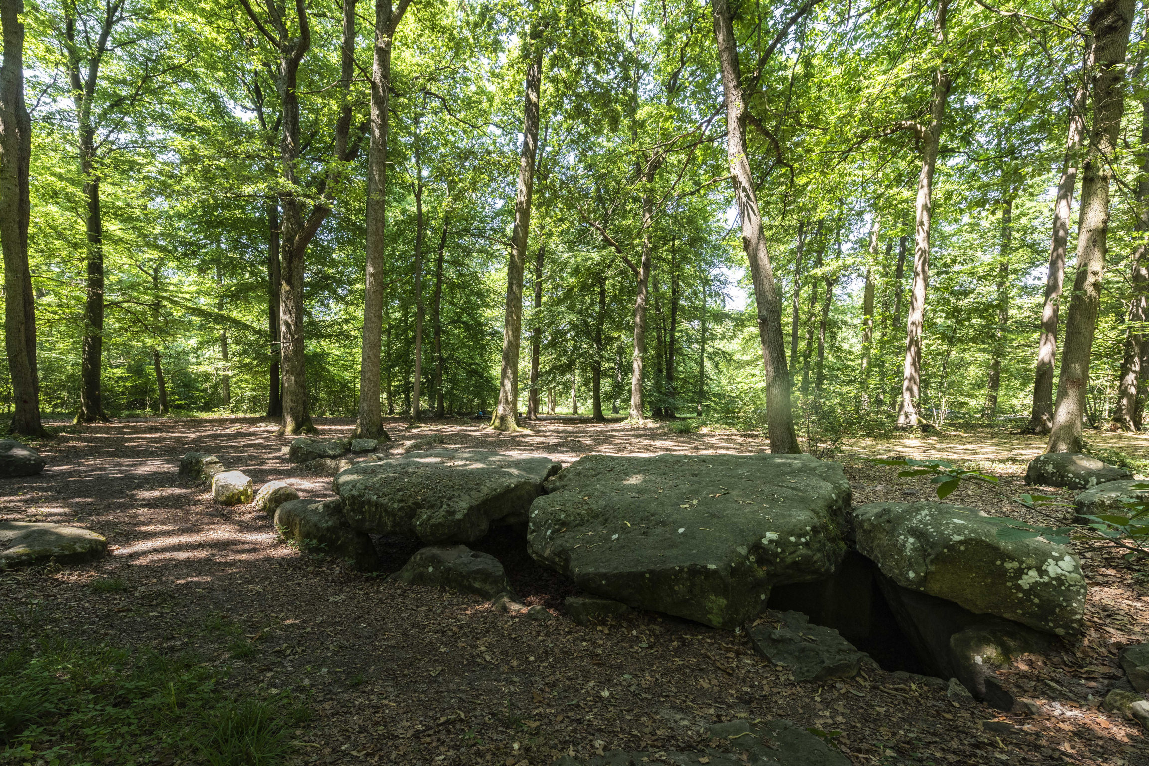 Pierre Turquaise dans la forêt de Carnelle