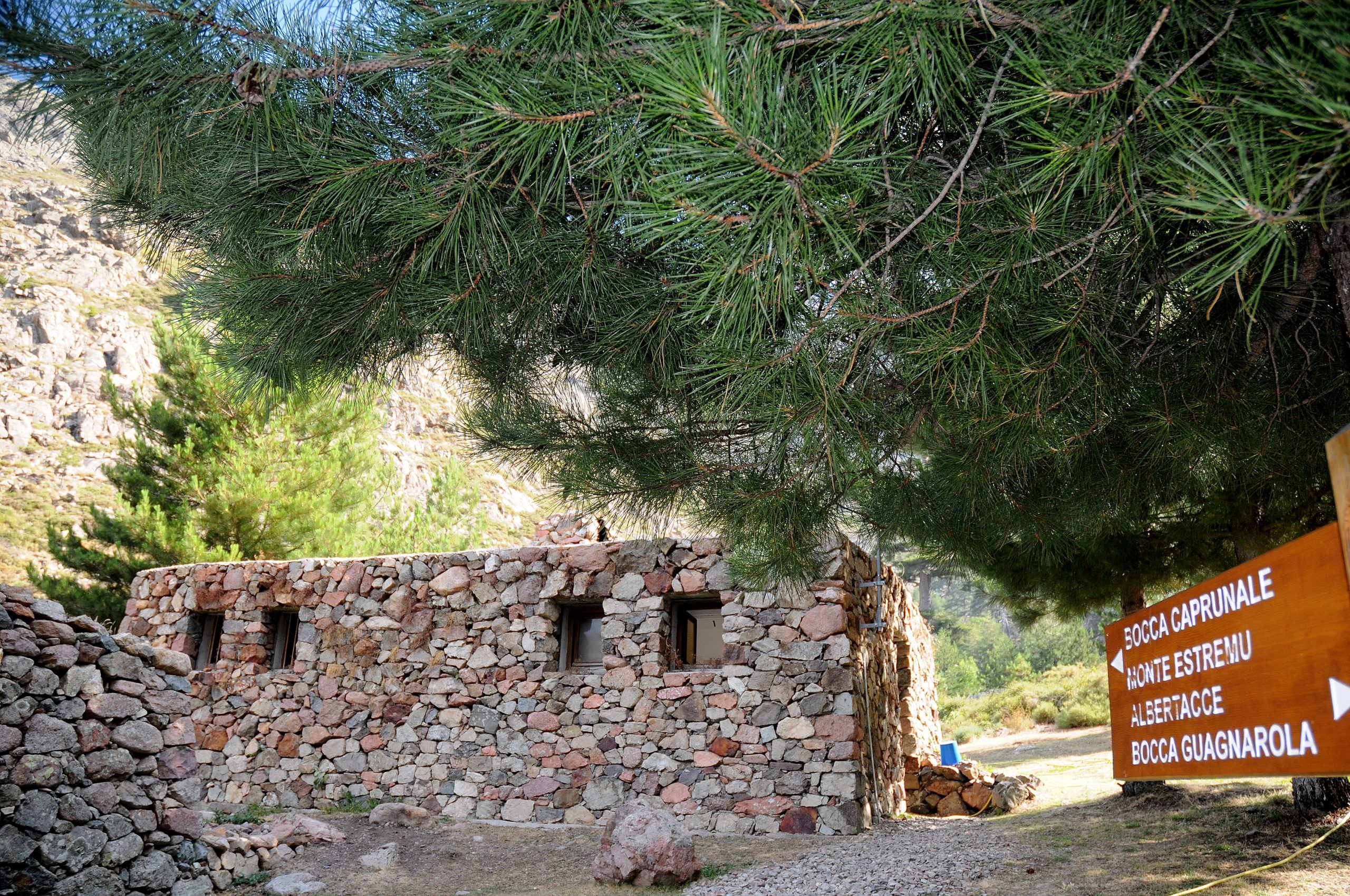 Puscaghja