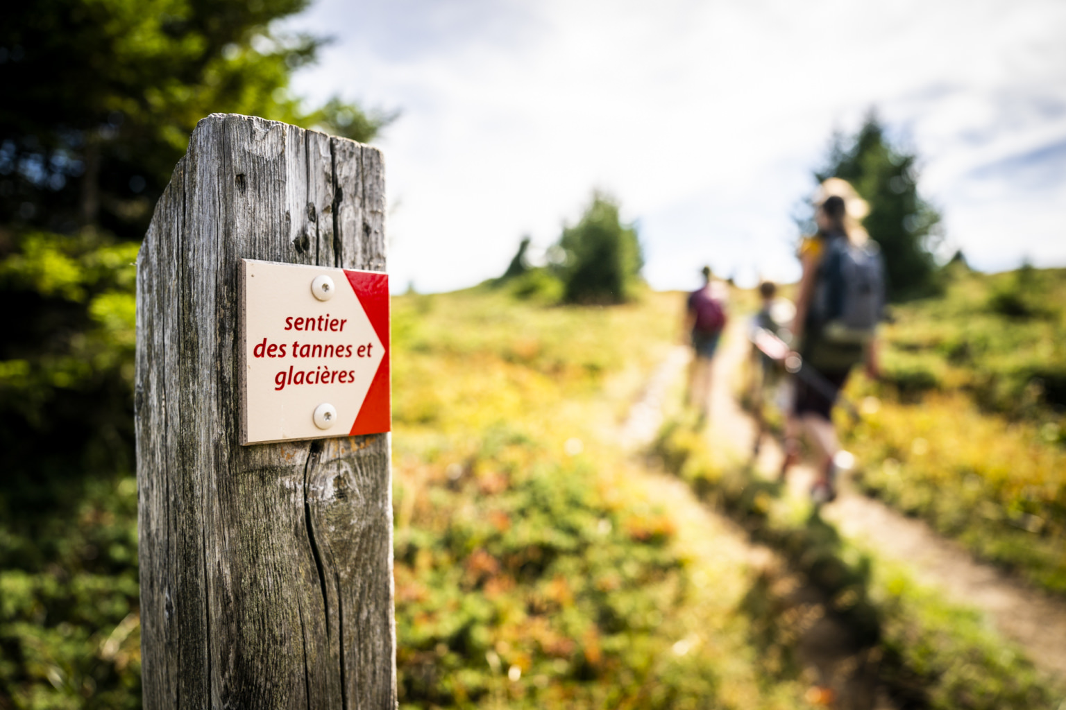 Sentier des Tannes et glacières