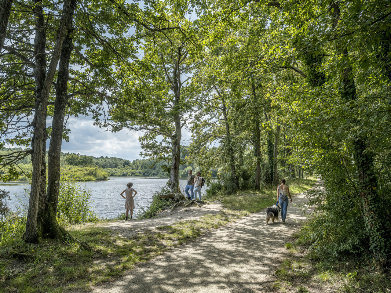 Réserve naturelle Joreau