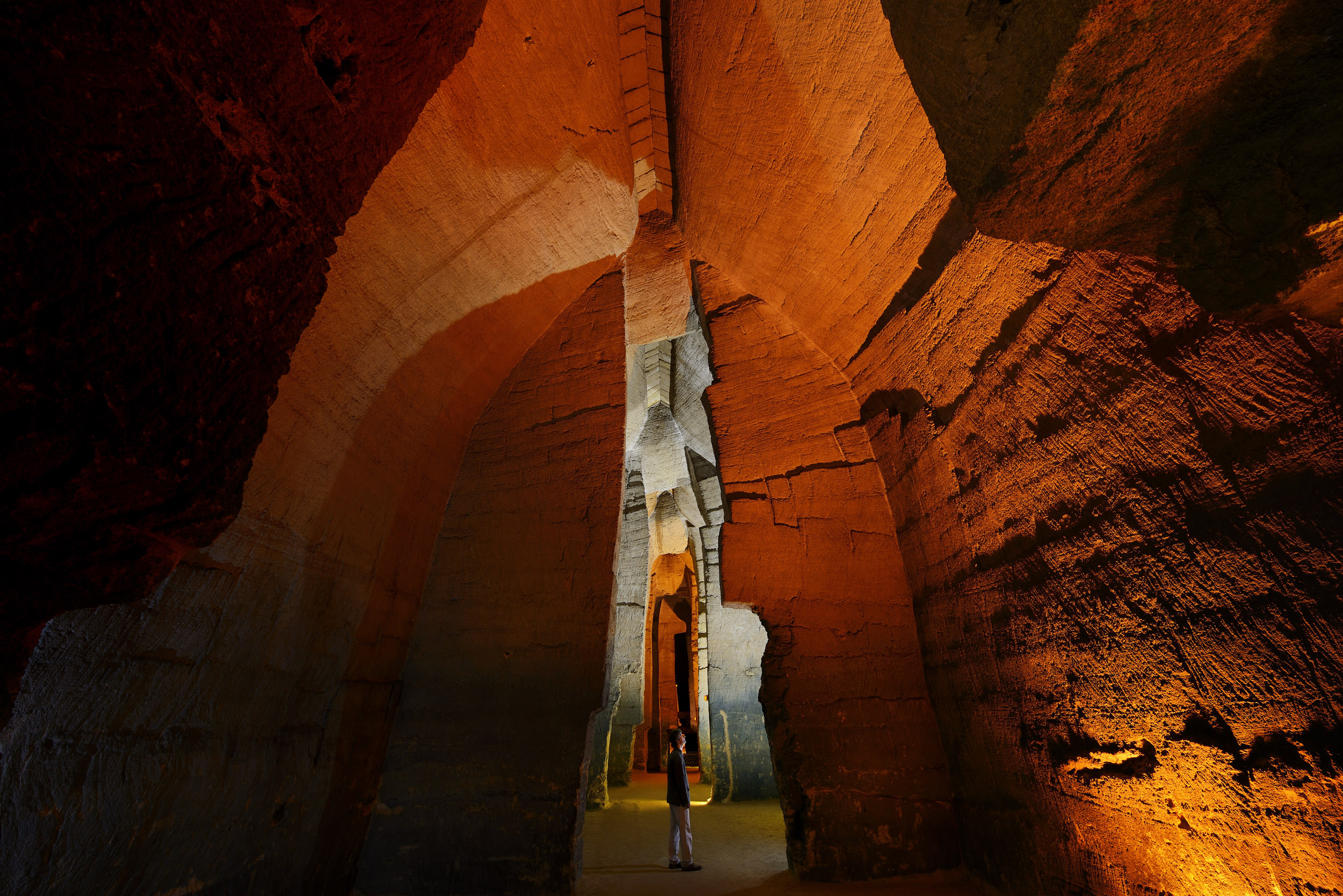 Troglodyte