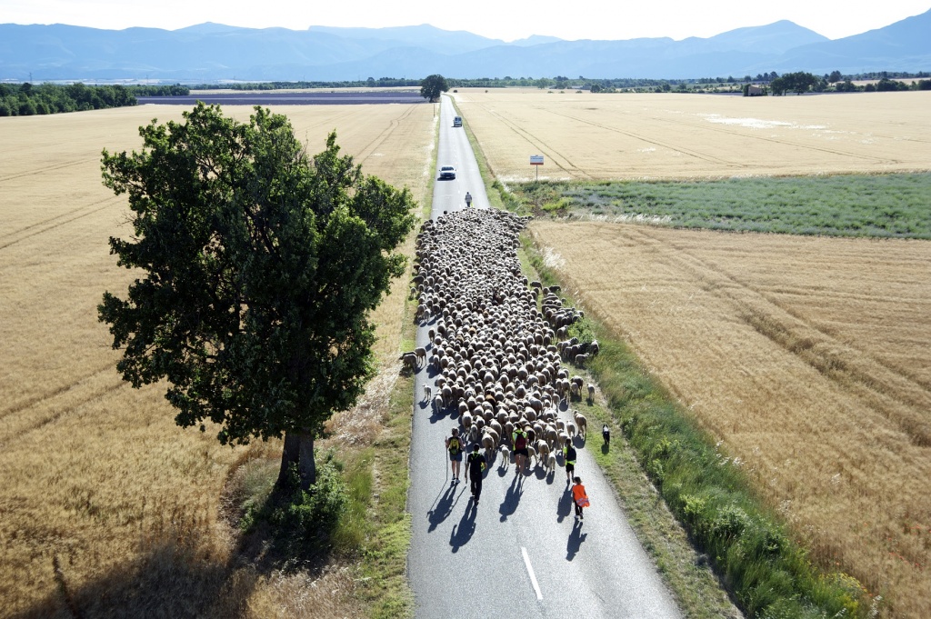 Valensole - ©PNRVerdon