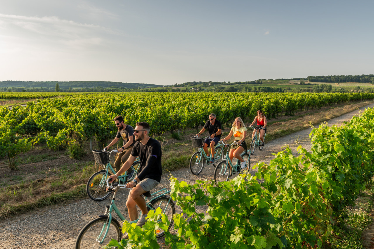 Vélo vignes PNR LAT