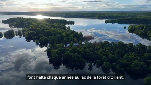Vidéo Fiche Parc FO