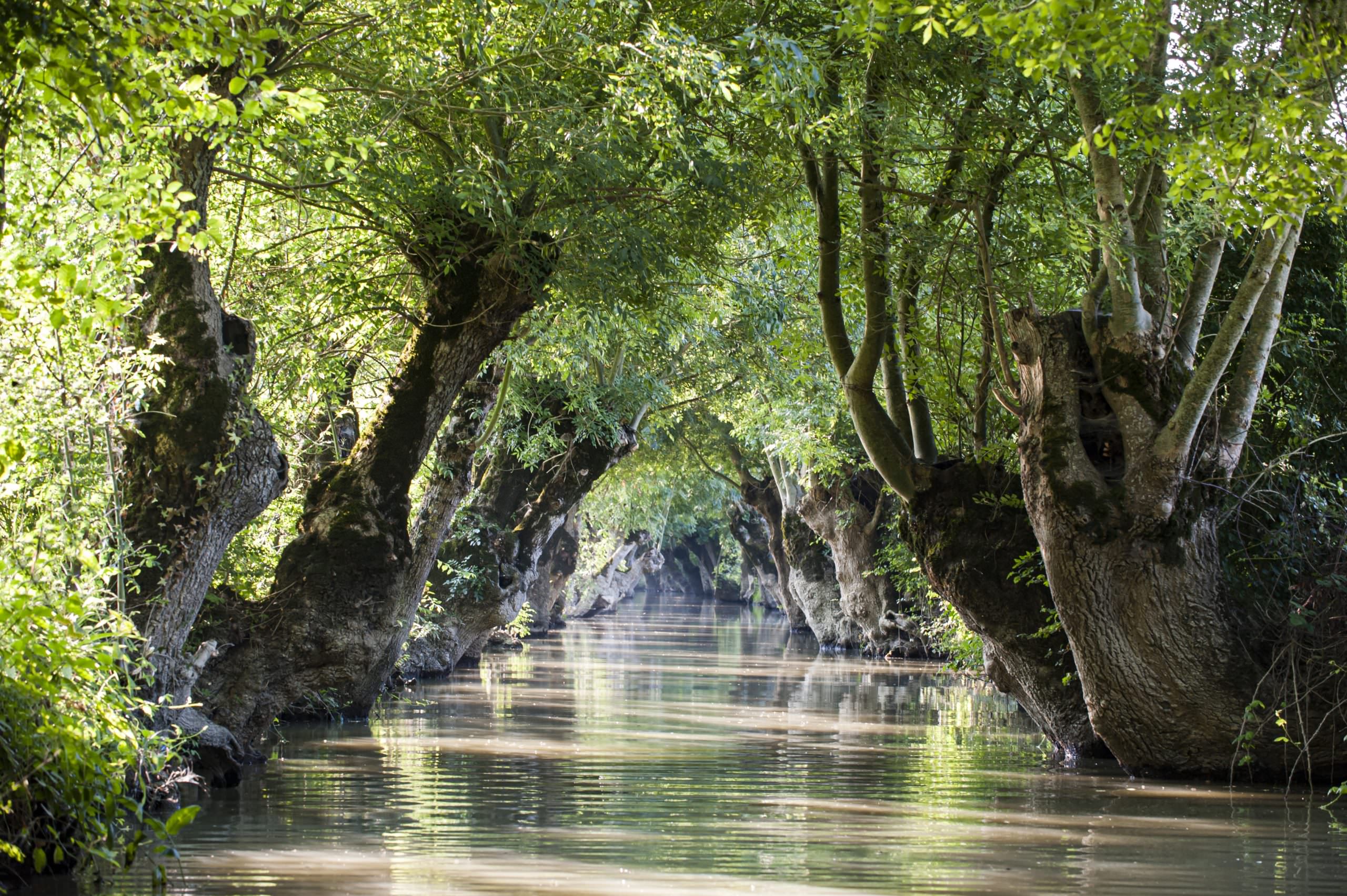 Marais Poitevin