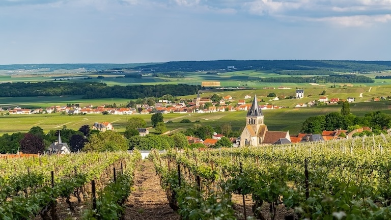 ©PNRMontagne de Reims