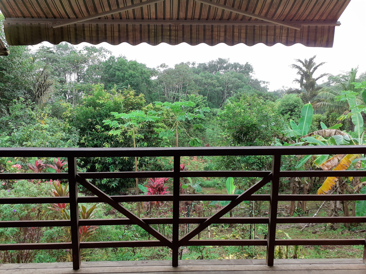 Vue jardin malou