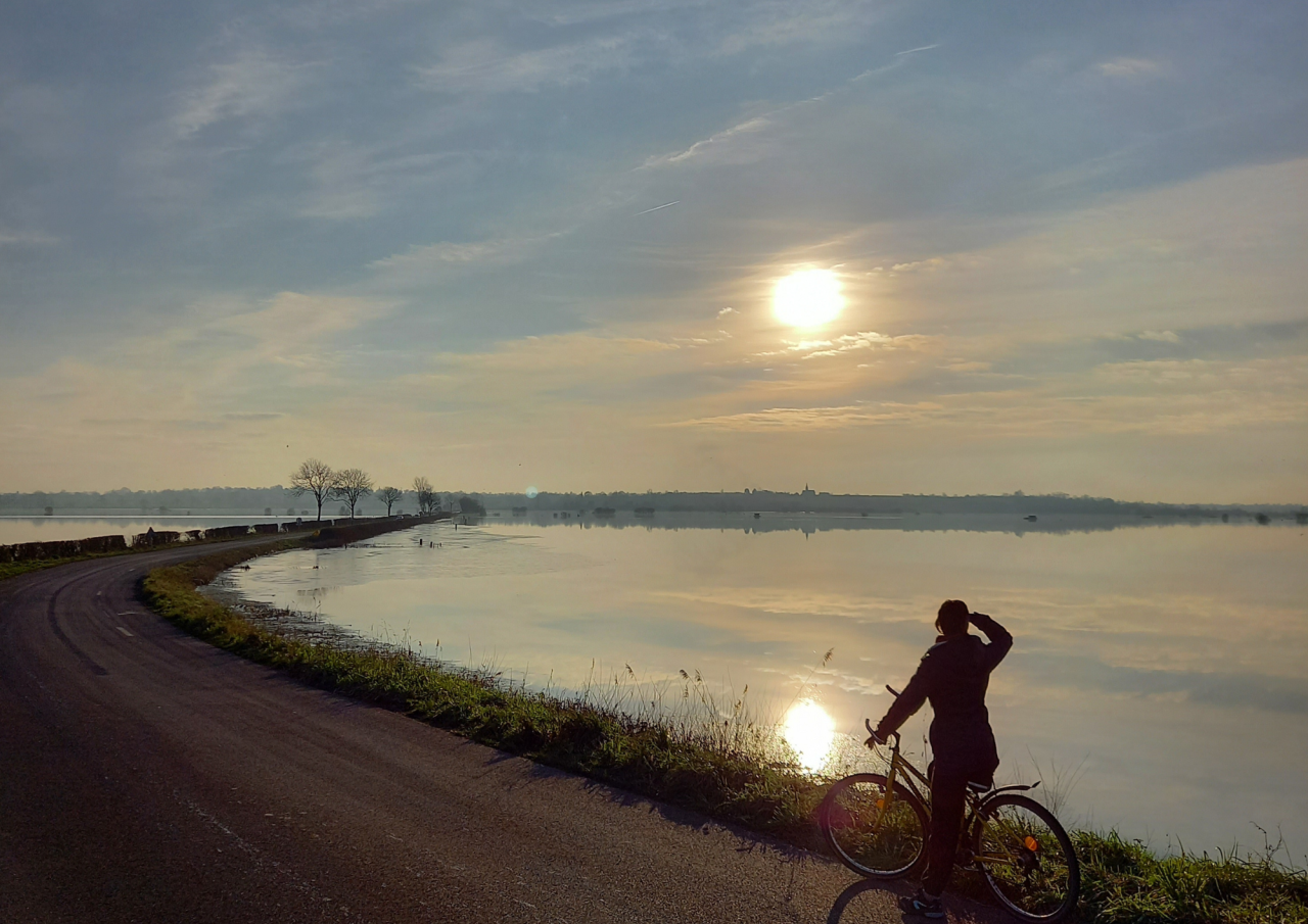 Cycliste observant les marais