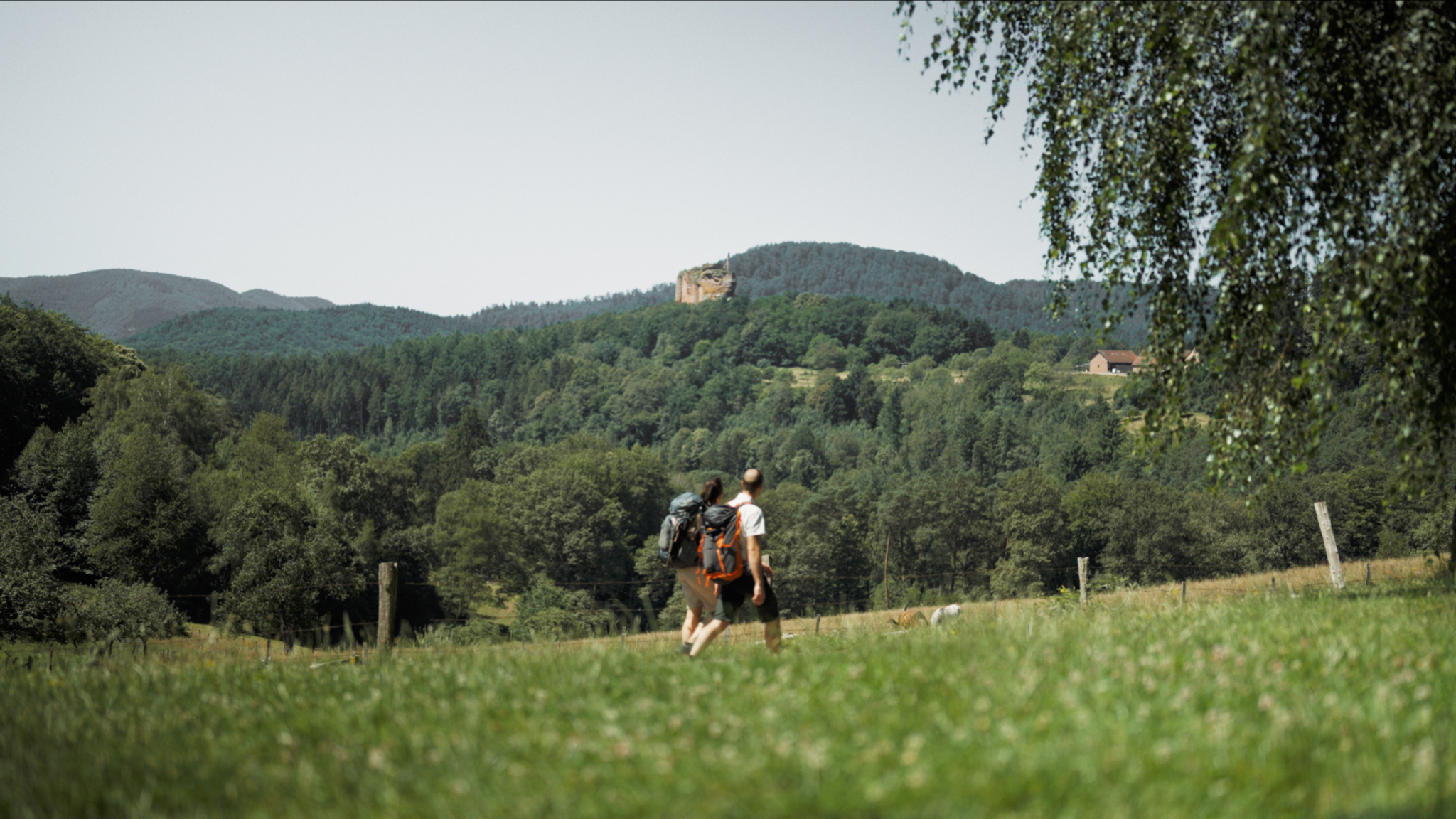 GR®53 : 120km à travers les forêts des Vosges du Nord - Destination Parcs