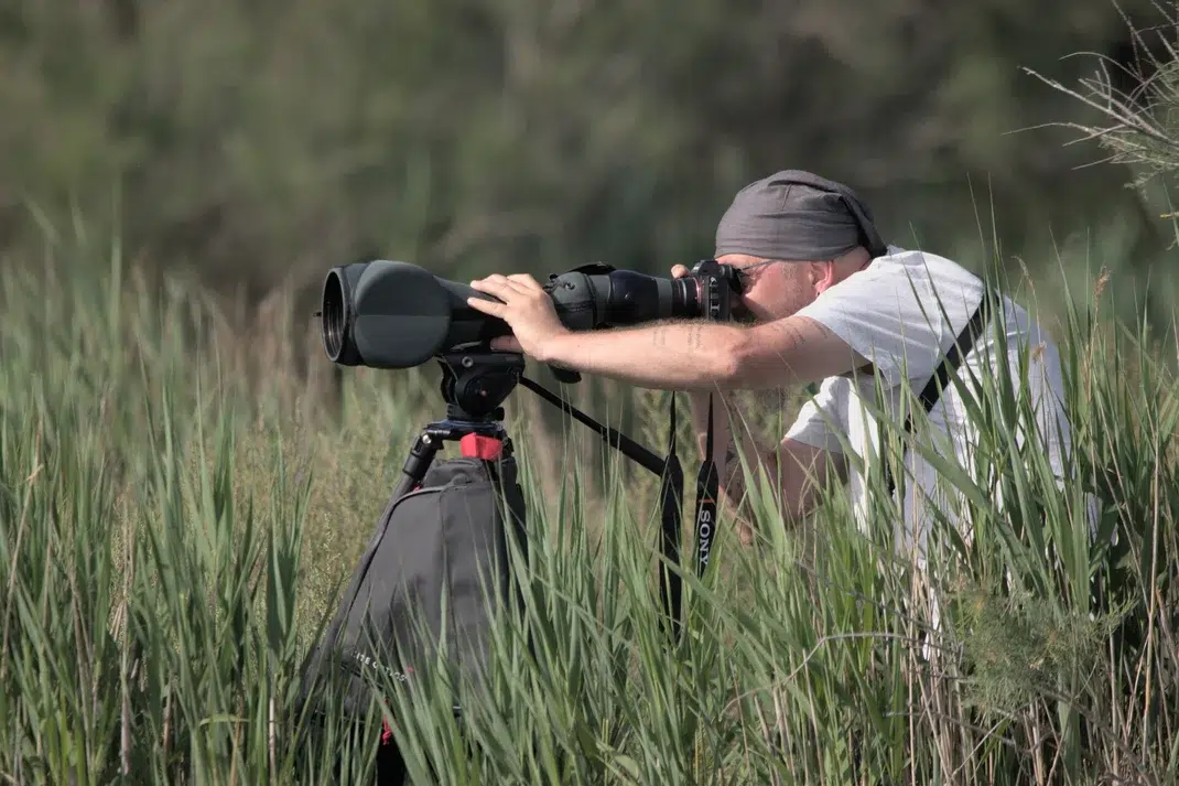 Stages ornithologiques et photgraphiques en Brenne avec Objectif Brenne