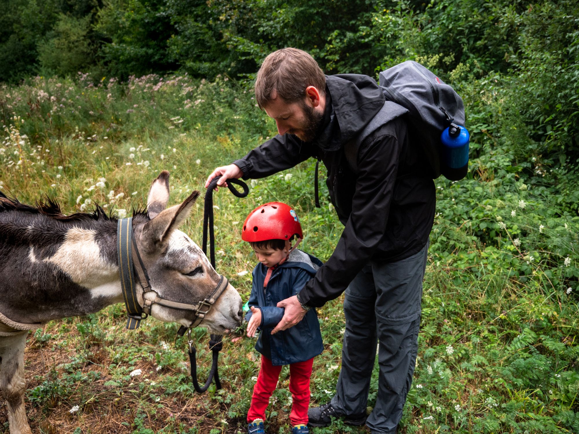 Un père et son fils en balade avec un âne