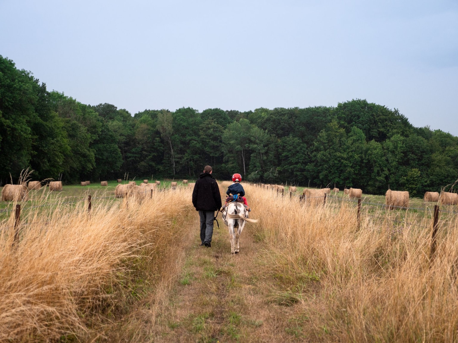 Un père et son fils randonnent avec un âne