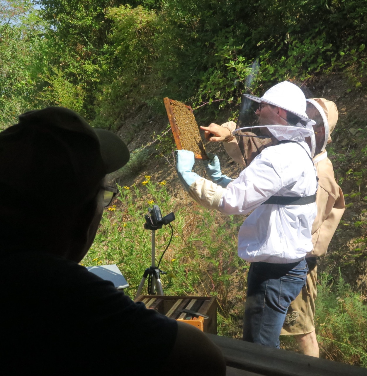 Illustration d'un apiculteur qui ouvre une ruche et explique le contenu d'un cadre