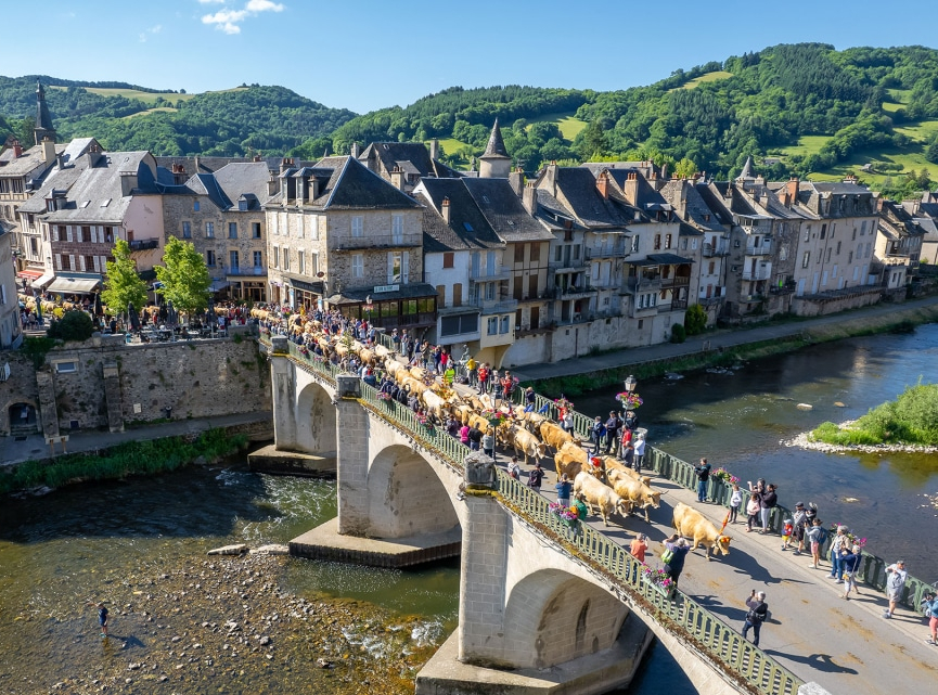 La Transhumance de Saint Geniez d'Olt et d'Abrac - B. Colomb - PACT Aubrac