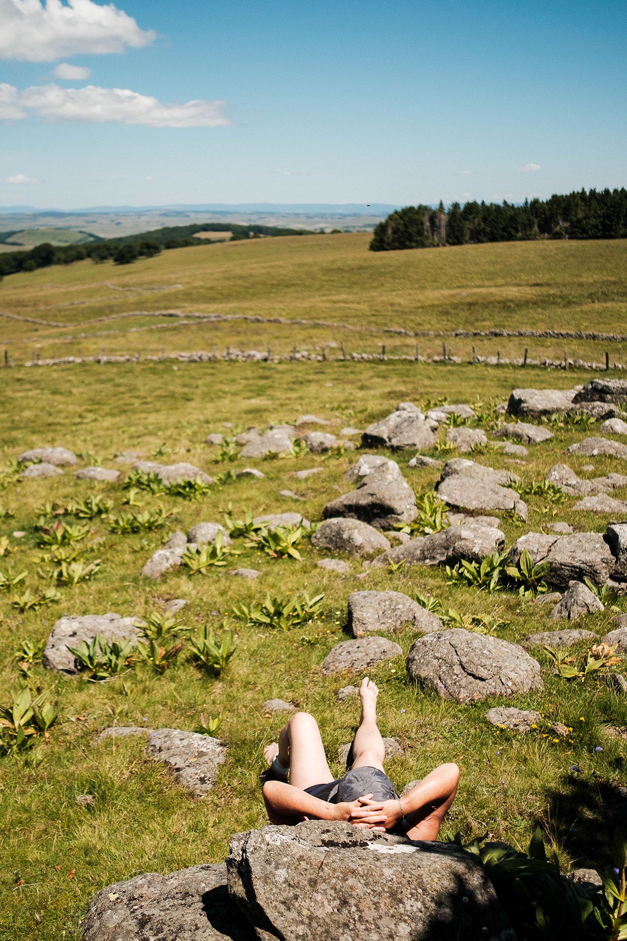 Une pause en Aubrac - S. Malgouyres