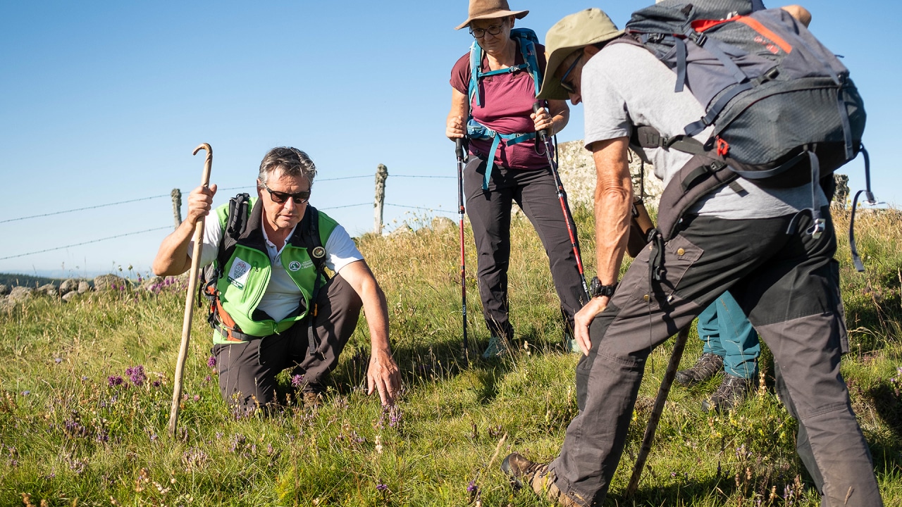 Randonnée accompagnée en Aubrac - S. Malgouyres